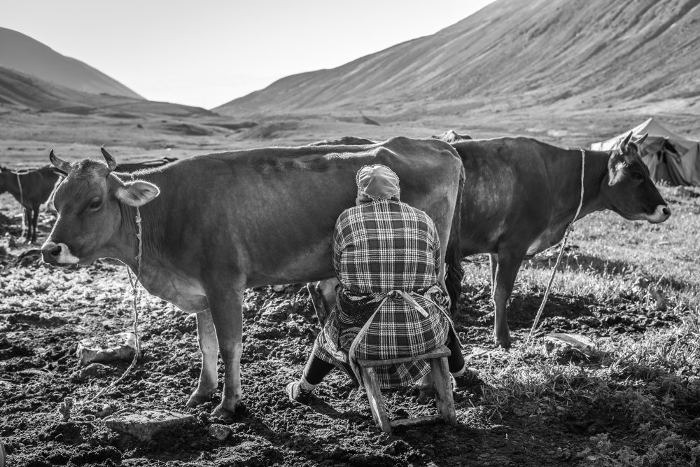 Morning under Aragats von Radana Kucharova