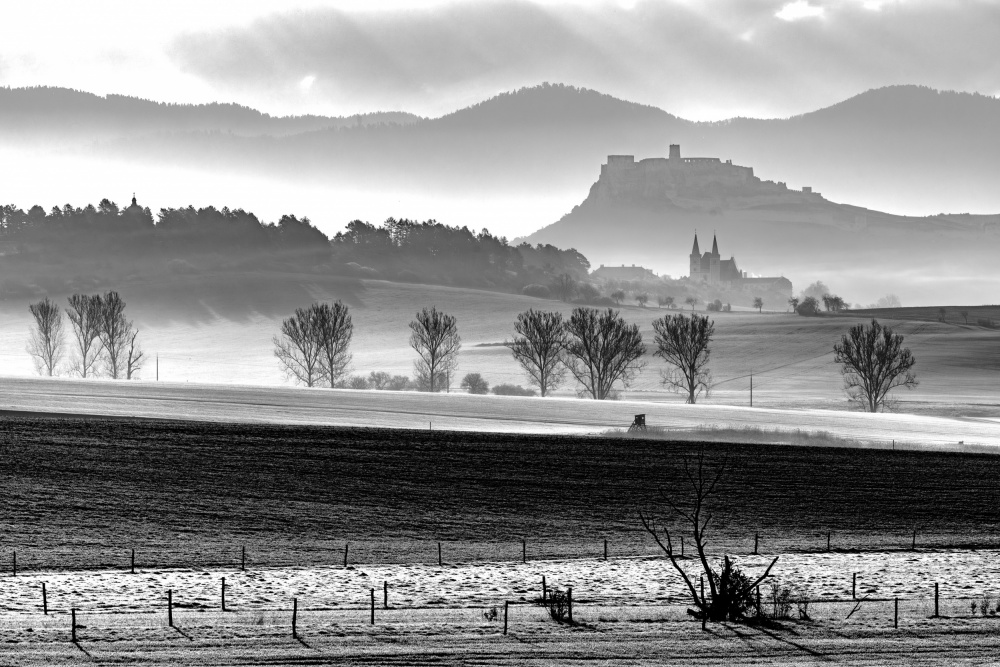 Early spring under castle von Radovan Dziak