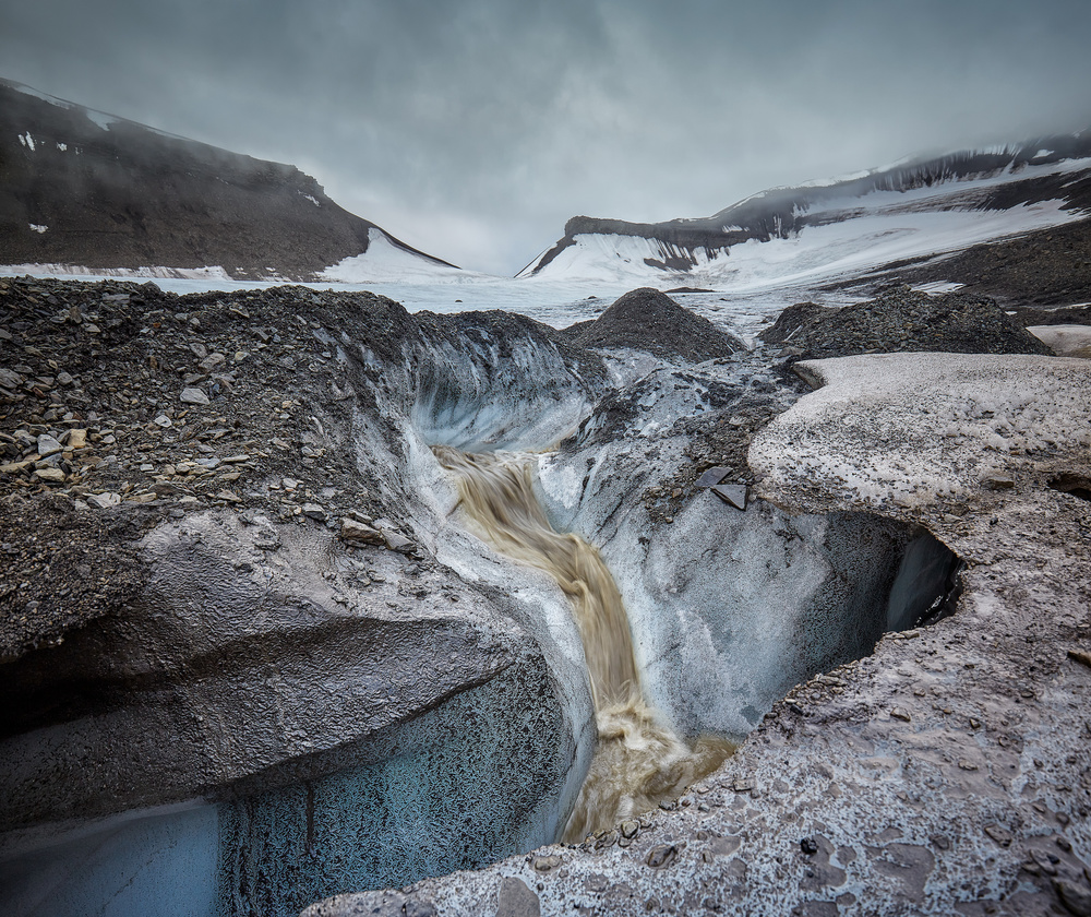 Force of Nature von Rafal R. Nebelski