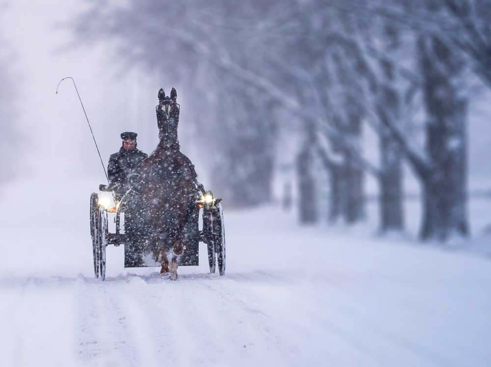 A Coachman in the Snow von Raghuvamsh Chavali