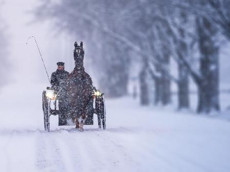 A Coachman in the Snow