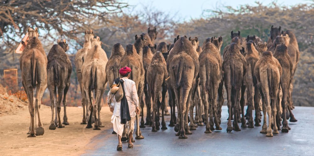 The Journey von Rahul Wedpathak