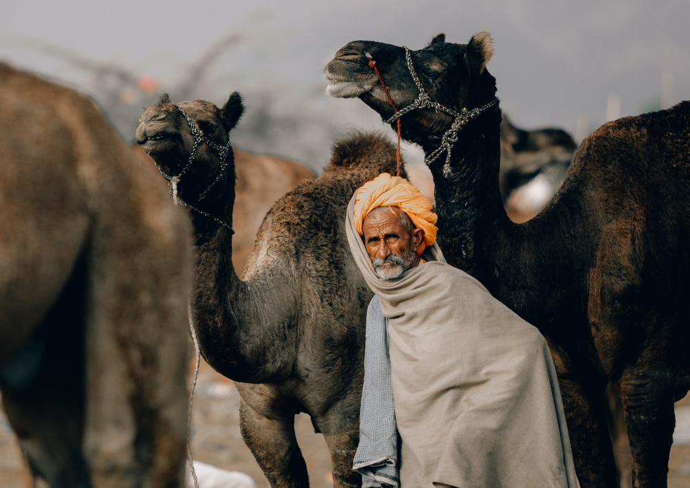 Pushkar streets von Rahul Wedpathak