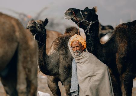 Pushkar streets