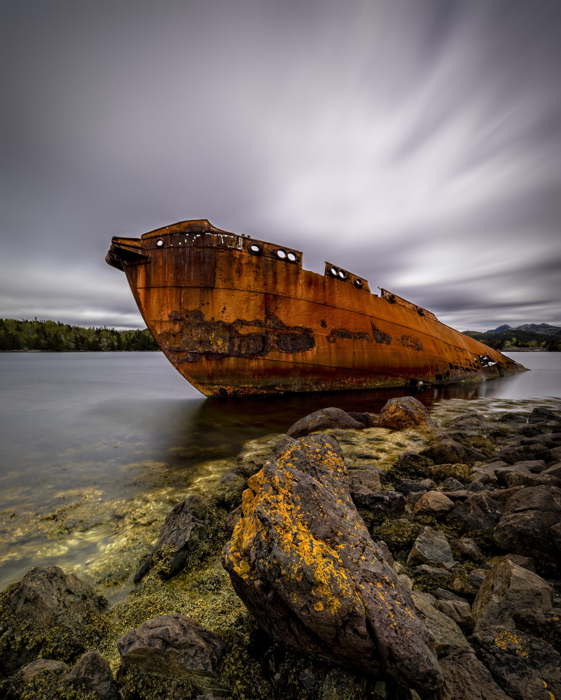 NEWFOUNDLAND, CONCEPTION HARBOUR-82594 von Raimondo Restelli