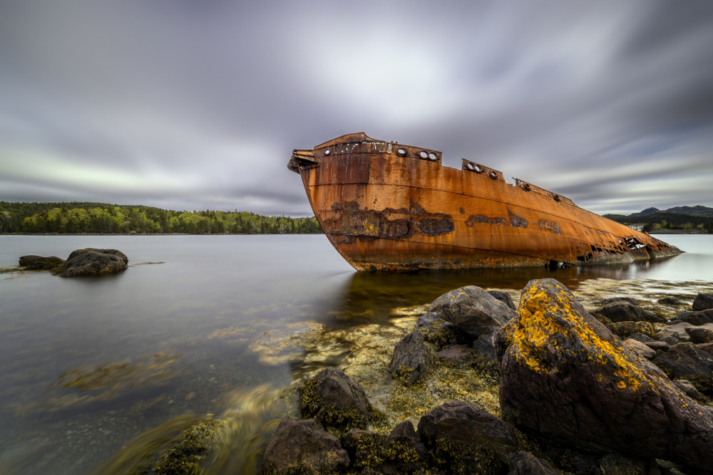 NEWFOUNDLAND, CONCEPTION HARBOUR-82597 von Raimondo Restelli