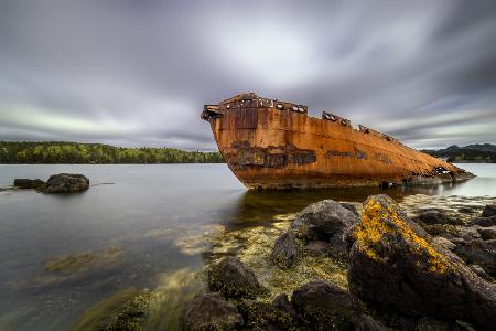 NEWFOUNDLAND, CONCEPTION HARBOUR-82597