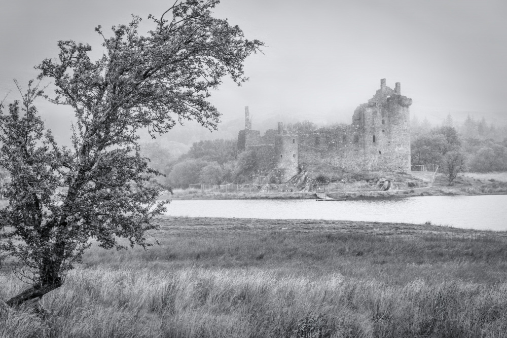 A Wet Scenery von Rainer Inderst