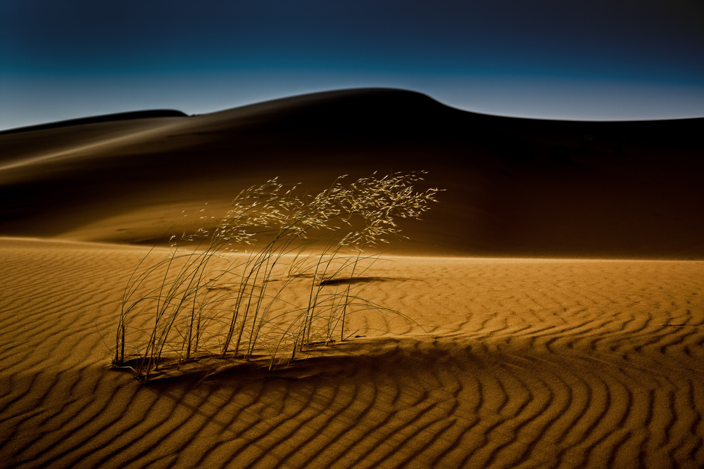 seed&amp;sand von Rainer Inderst