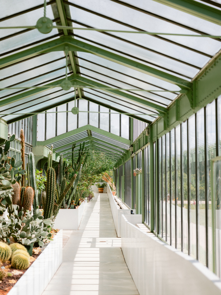 Botanical garden of Paris von Raisa Zwart