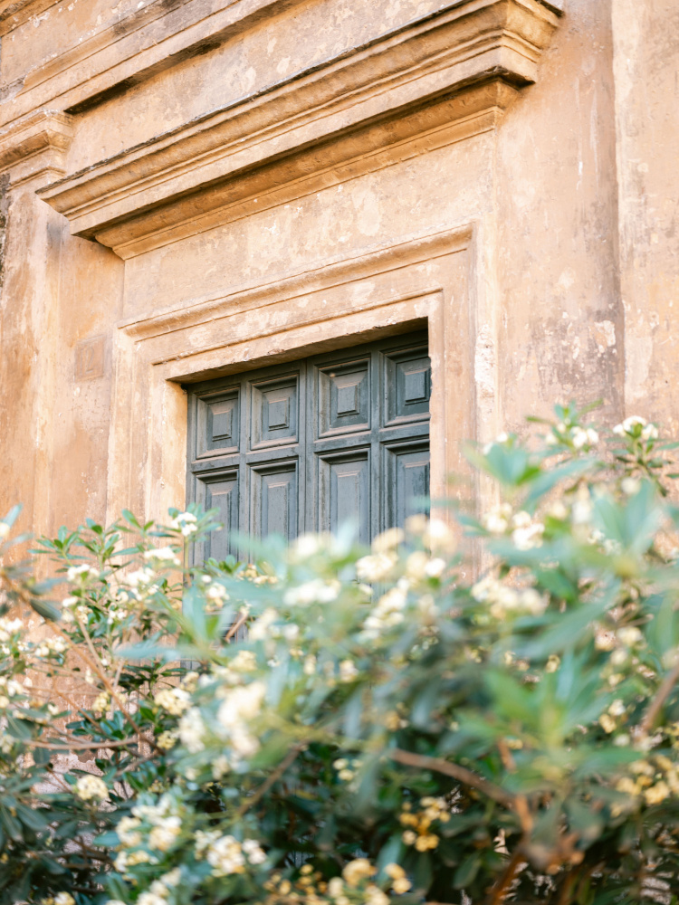 Botanical Trastevere Rome von Raisa Zwart