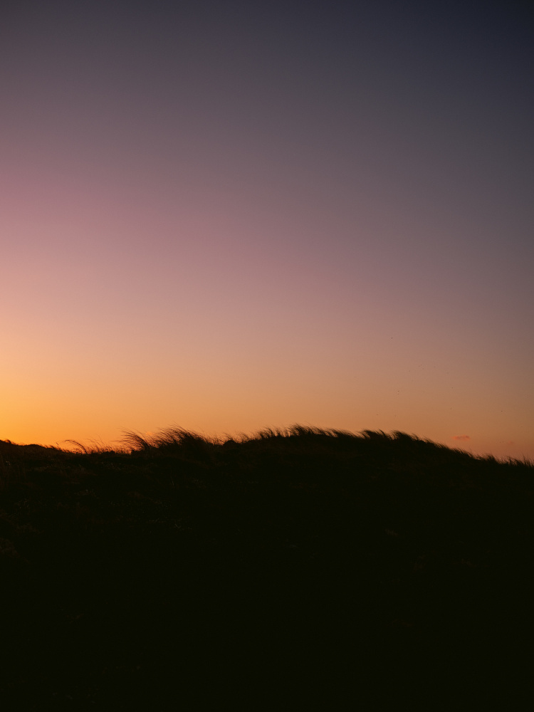 Dune Grass Sunset von Raisa Zwart