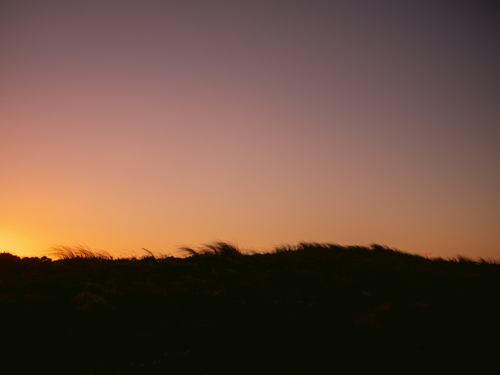 Dune Grass Sunset Horizontal von Raisa Zwart