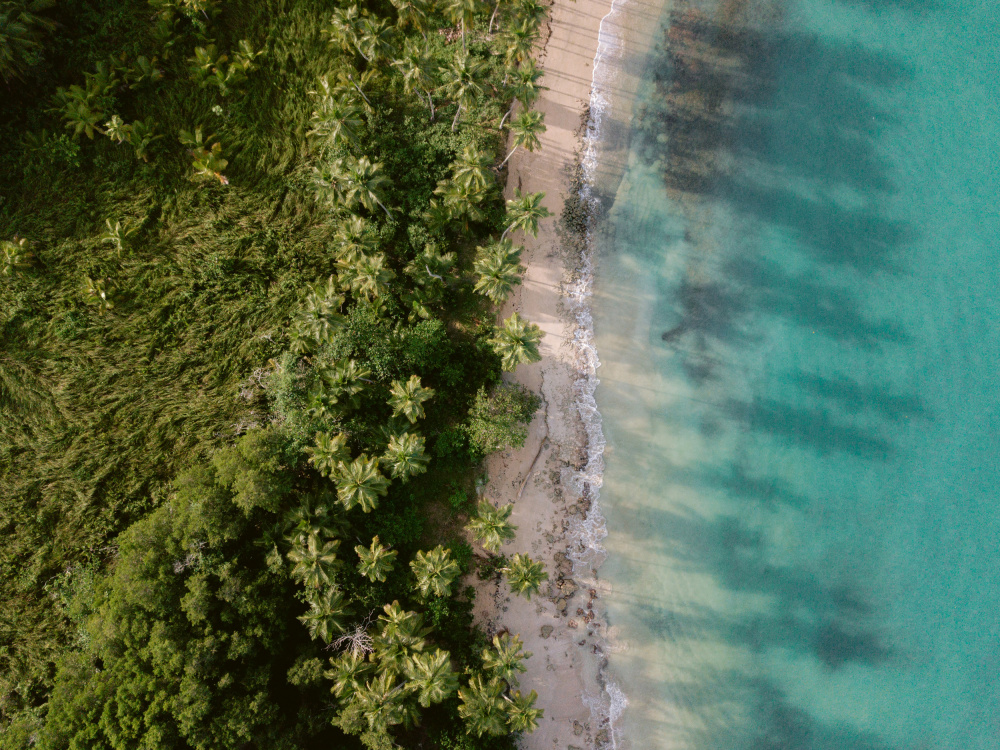 Green Beach from Above 2 von Raisa Zwart