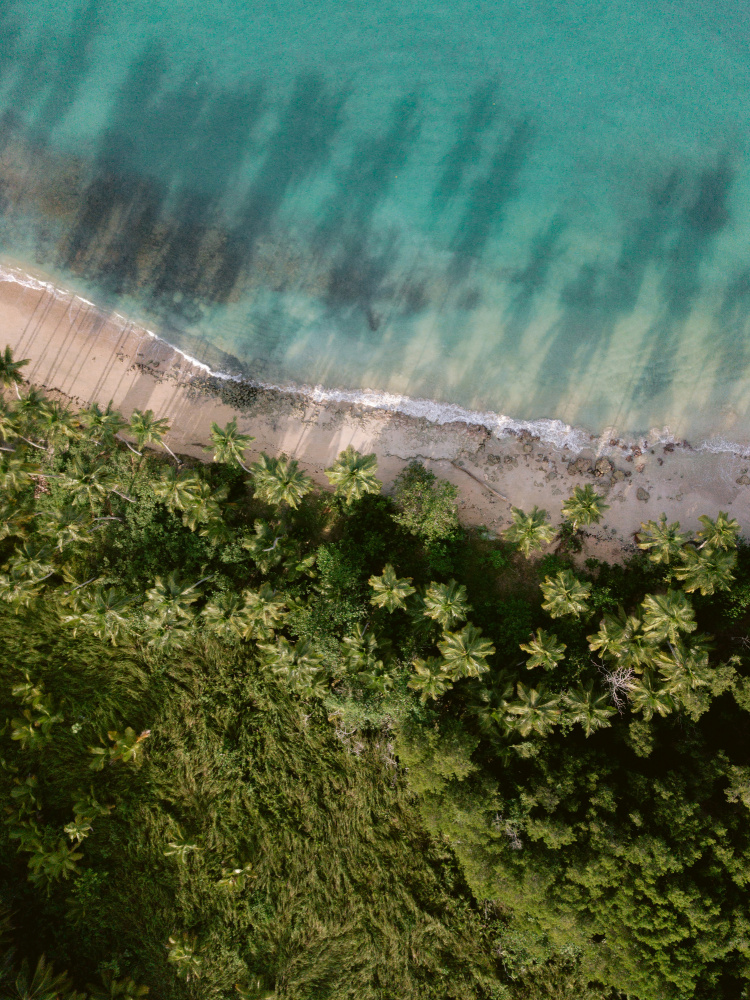 Palm Beach from Above von Raisa Zwart