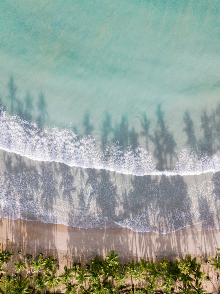 To the Beach von Raisa Zwart