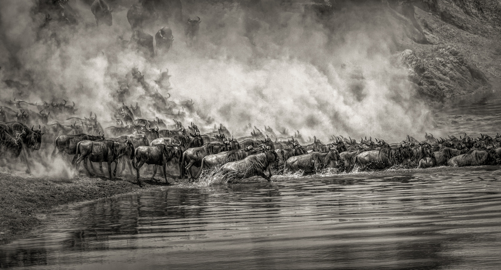 The river crossing von Ram Ramkumar