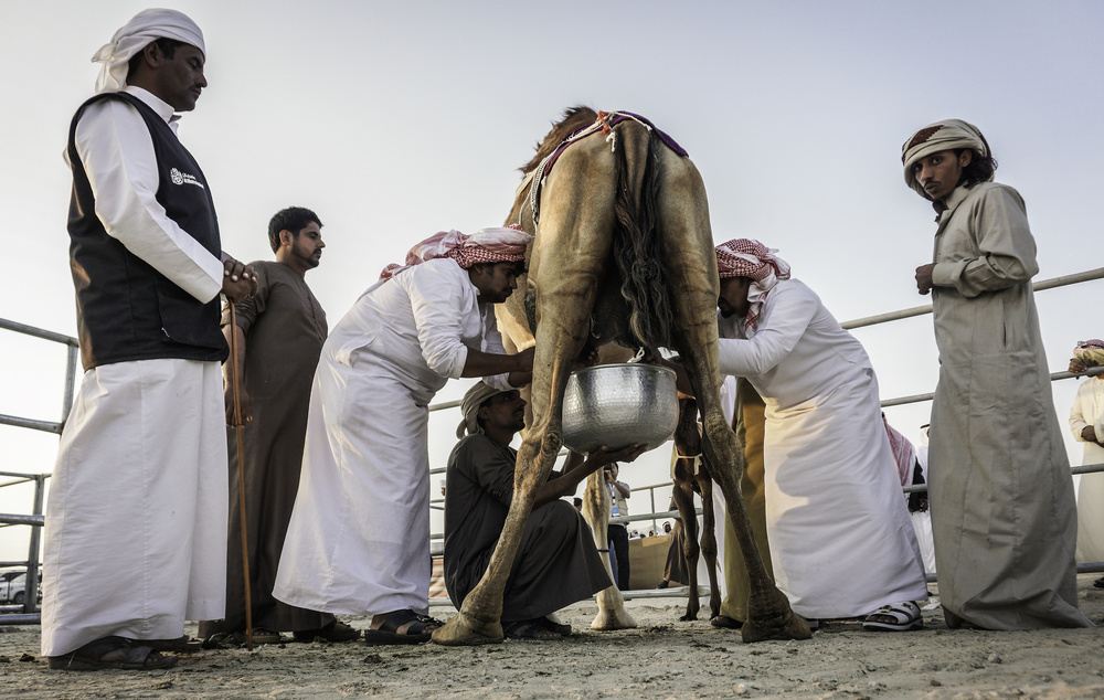 Milking von Rami Al Adwan