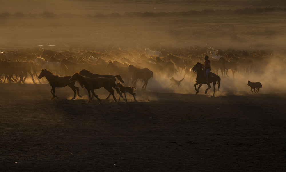 Beautiful The Country of Horses von Ramiz Şahin