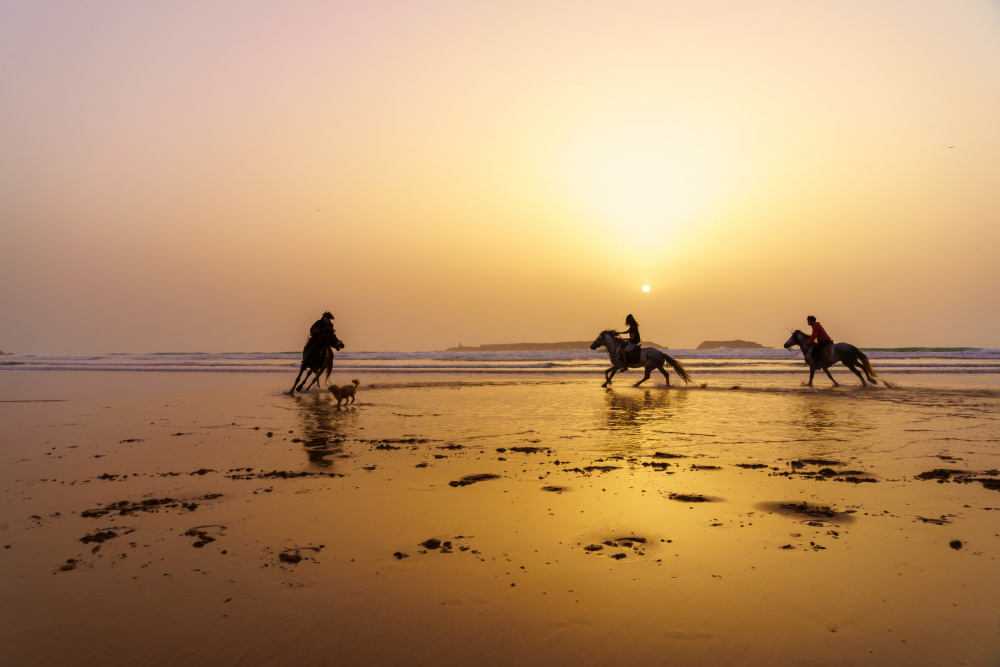 Sunset silhouette of horses and riders, beach of Essaouira von Ran Dembo