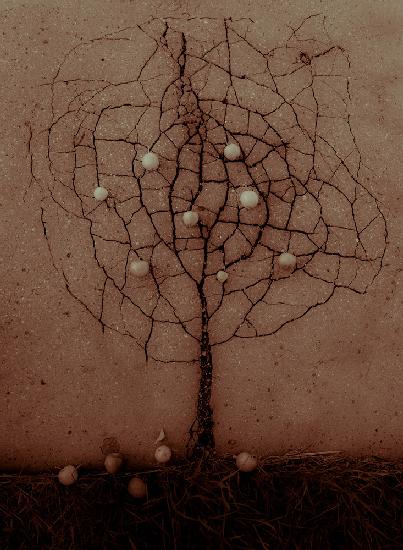 Asphalt tree in the Autumn