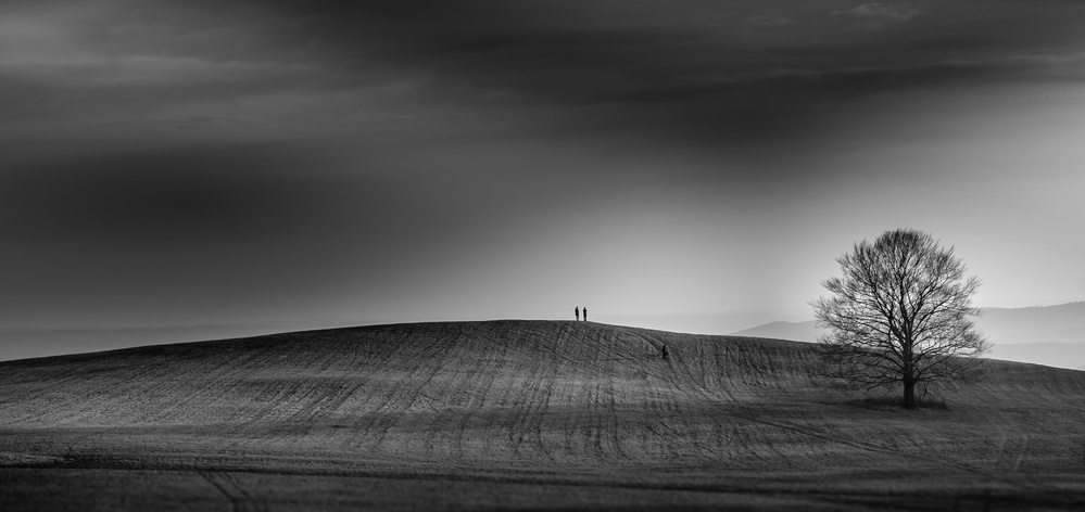 Reaching the horizon von Rasto Gallo