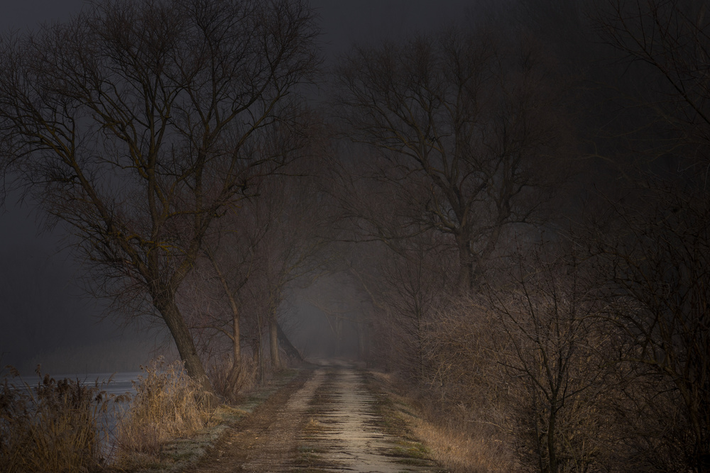 Road to nowhere von Rasto Gallo