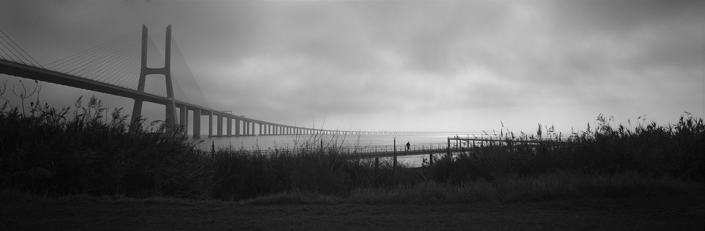 ...the long bridge... von Raul Pires Coelho