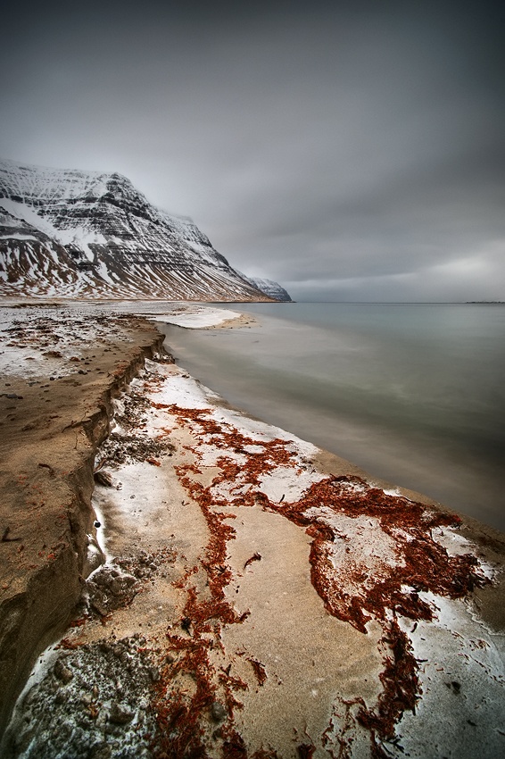 the far-off place von Raymond Hoffmann