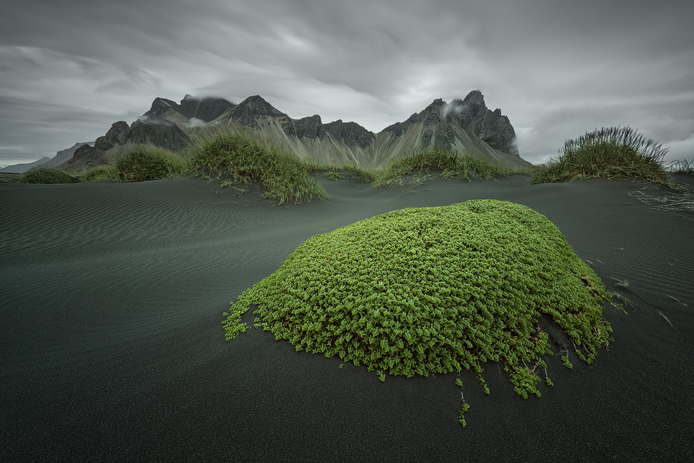 green Island von Raymond Hoffmann