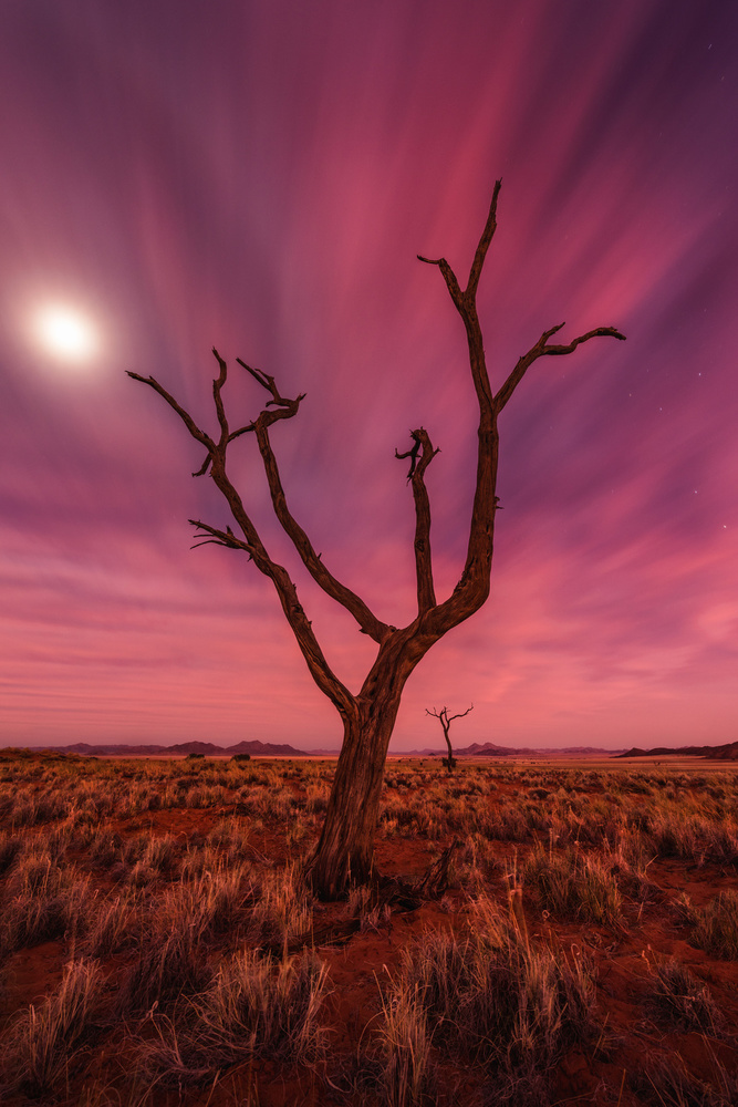 magic moments von Raymond Hoffmann