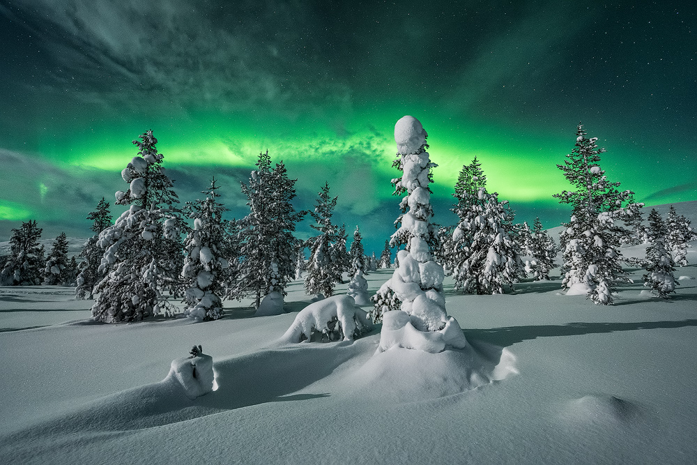 polar night von Raymond Hoffmann