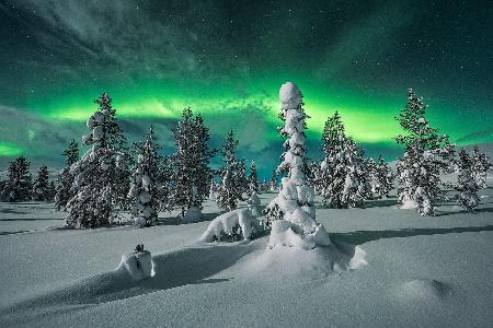 polar night