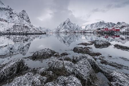 Reine