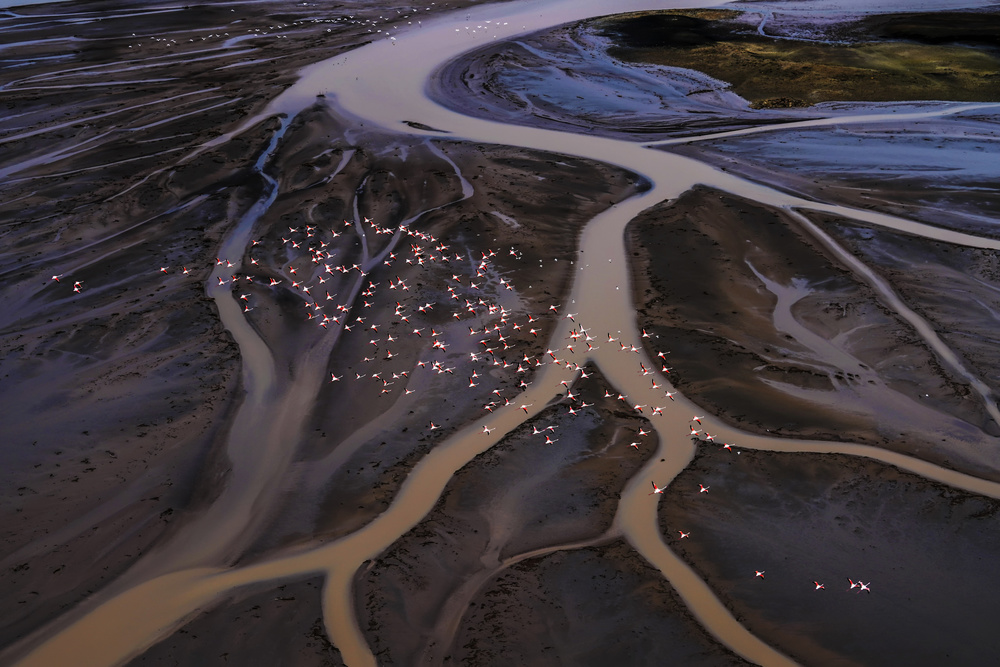 Flying Over Lake Magadi -1 von Raymond Ren Rong Liu