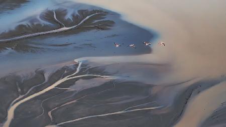 Flying Over Lake Magadi - 2