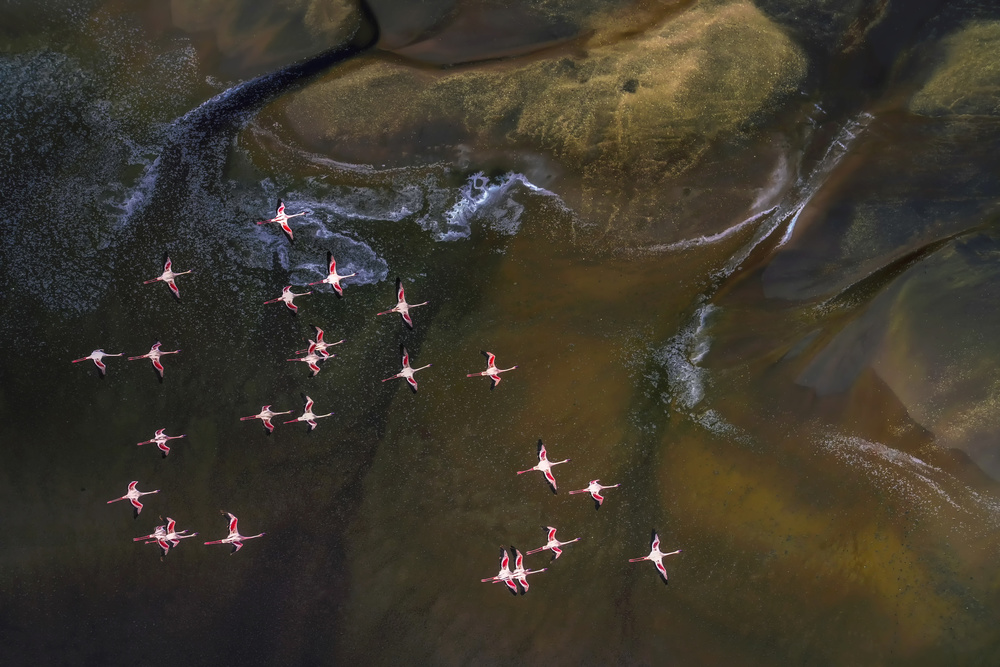 Flying Over Lake Magadi - 3 von Raymond Ren Rong Liu