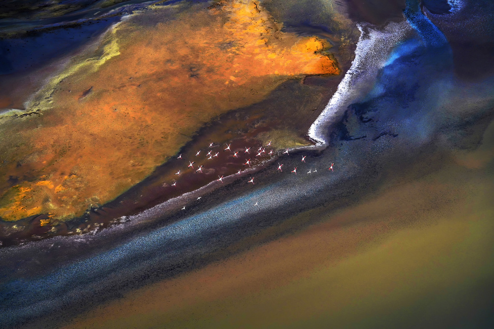 Flying Over Lake Magadi - 4 von Raymond Ren Rong Liu