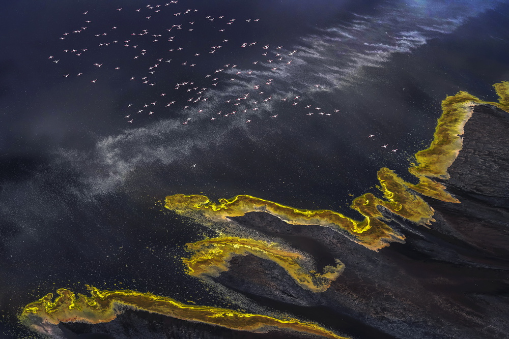 Flying Over Lake Magadi - 5 von Raymond Ren Rong Liu