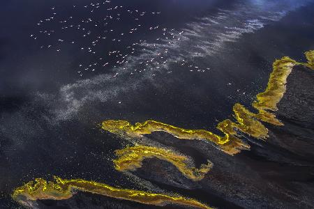 Flying Over Lake Magadi - 5