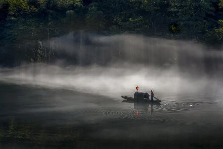 Misty Morning