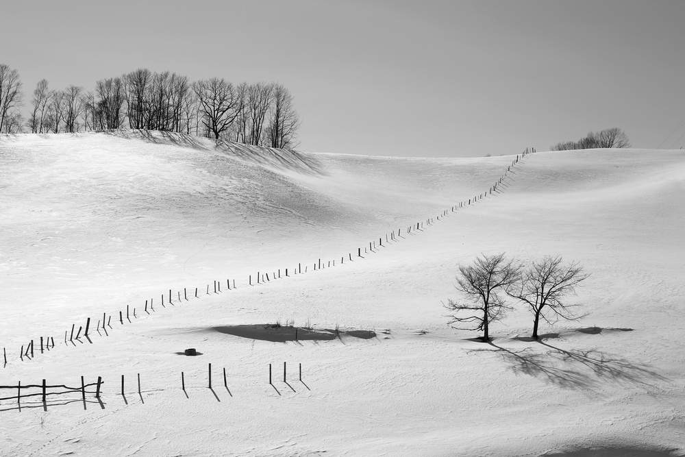 Separation von Raymond Ren Rong Liu