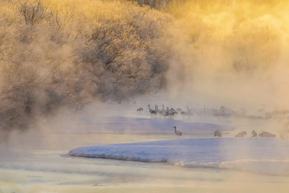 Wonderland at Dawn von Raymond Ren Rong Liu