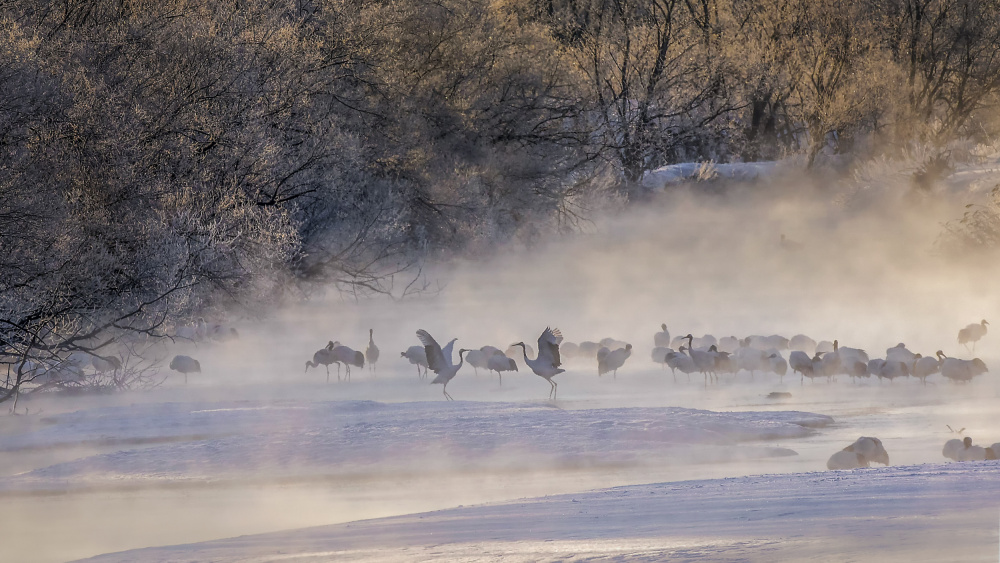 Wonderful Morning von Raymond Ren Rong Liu