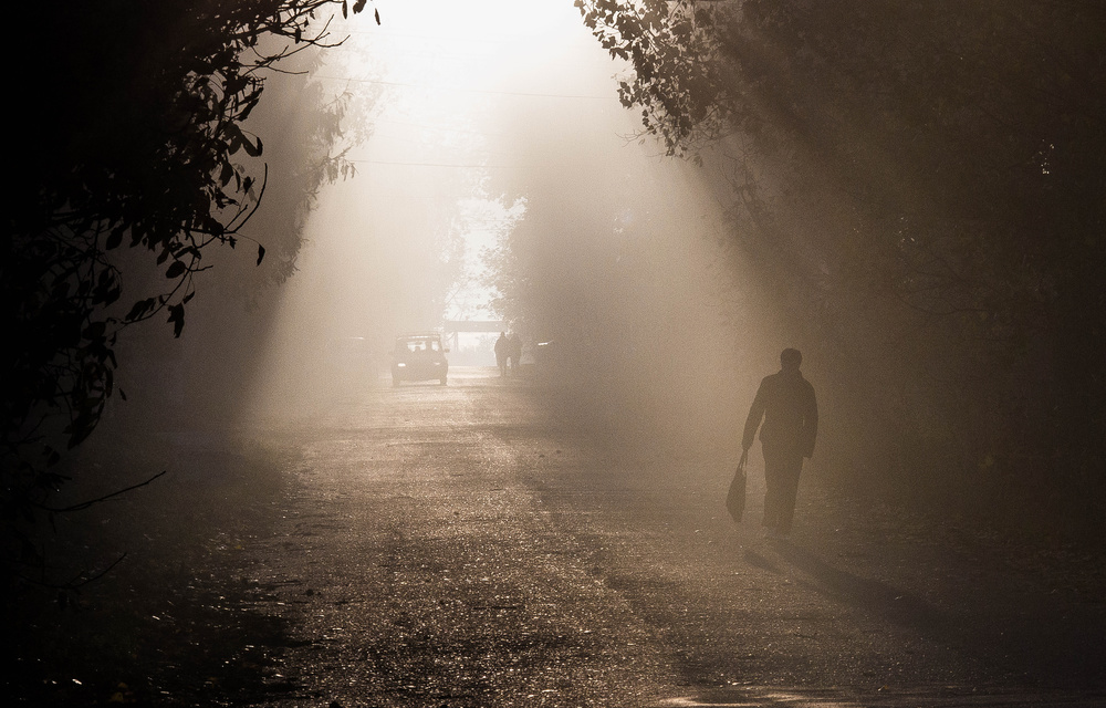 the road von Razvan Lazarescu