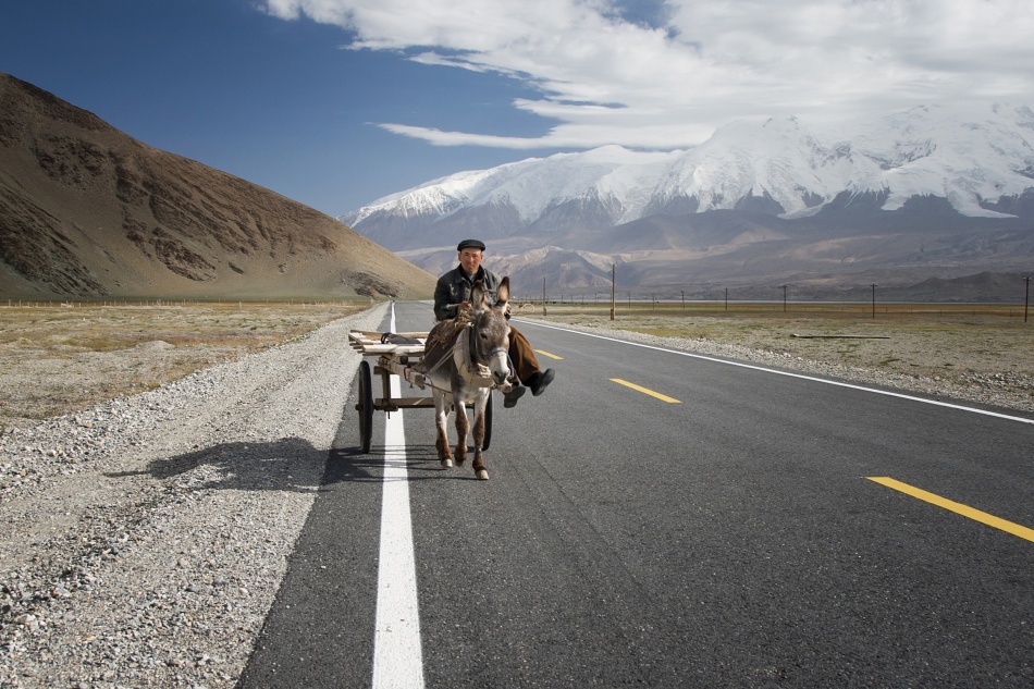 By donkey on the Karakorum Highway von Reggy