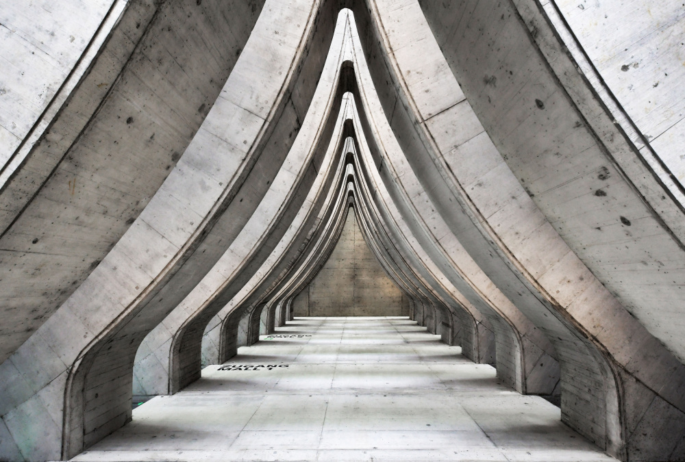 Cathedral of concrete von Renate Reichert