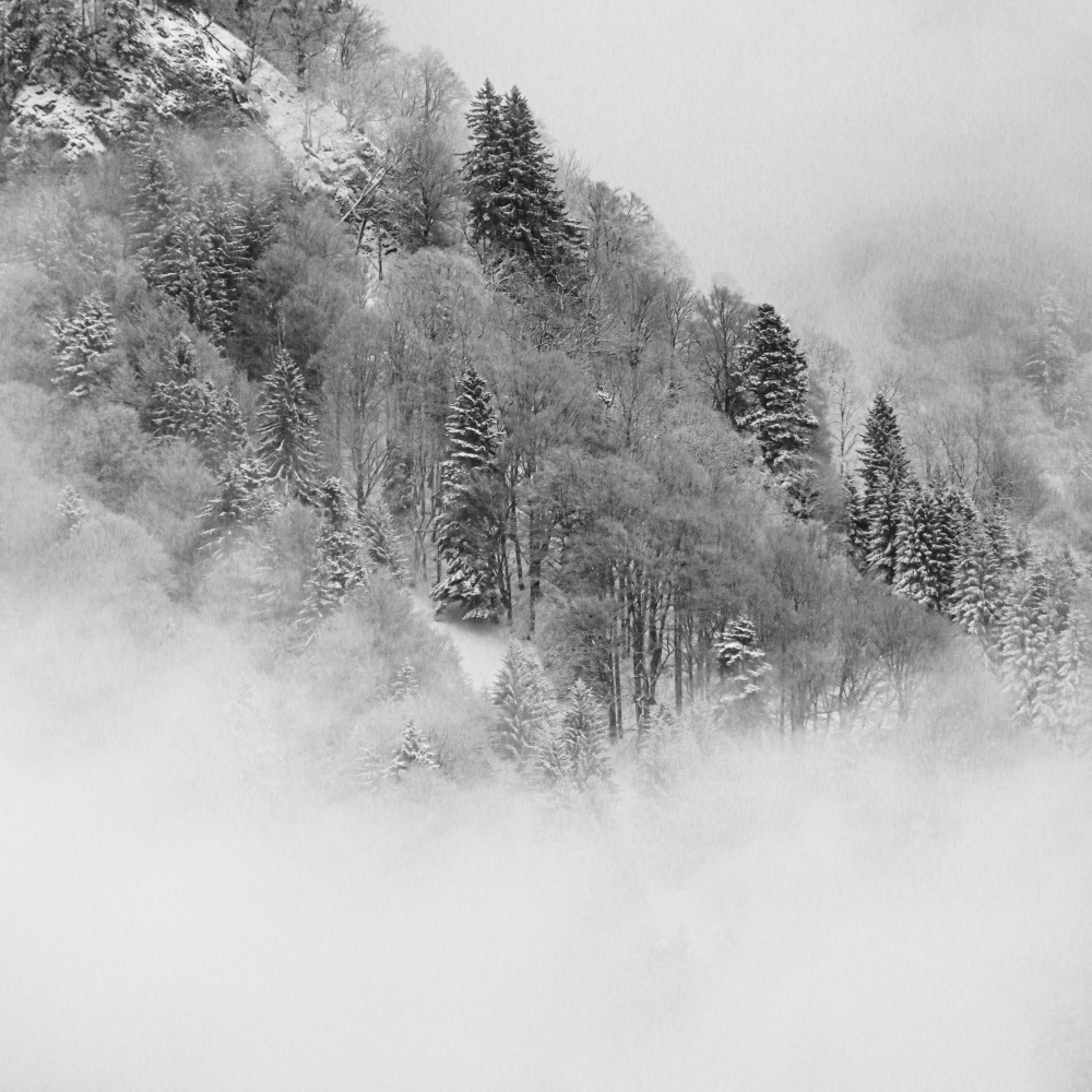 the foggy mountain von Renate Wasinger