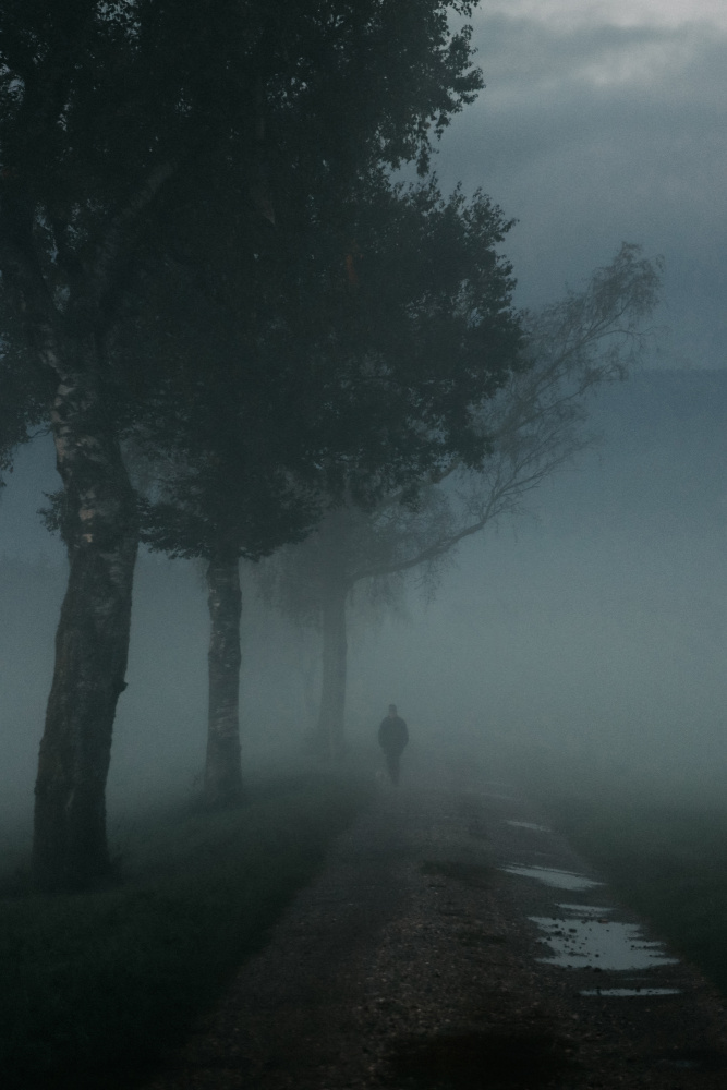 Lonely von Renate Wasinger