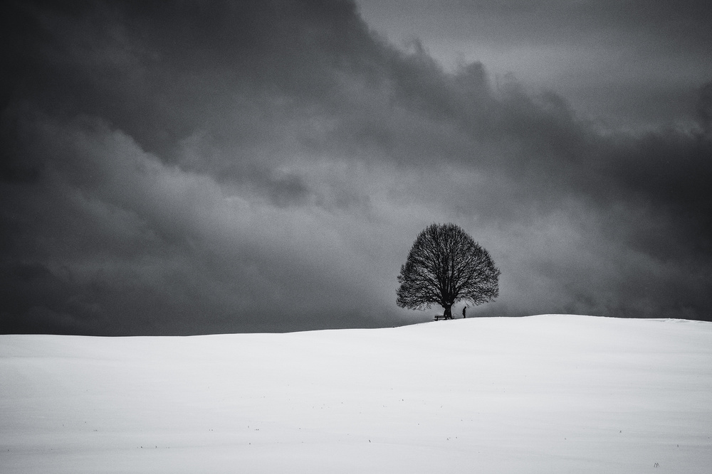 loneliness von Renate Wasinger